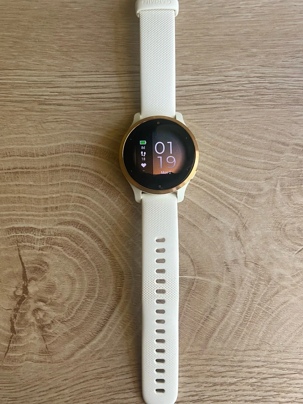 Garmin Venu 2S White Silicone Band with Rose Gold Bezel Smartwatch + 2 cables